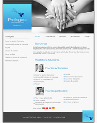 Page d'accueil Profisgest.ch