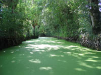 Dans les marais poitevins...