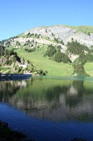 Reflets sur l'eau